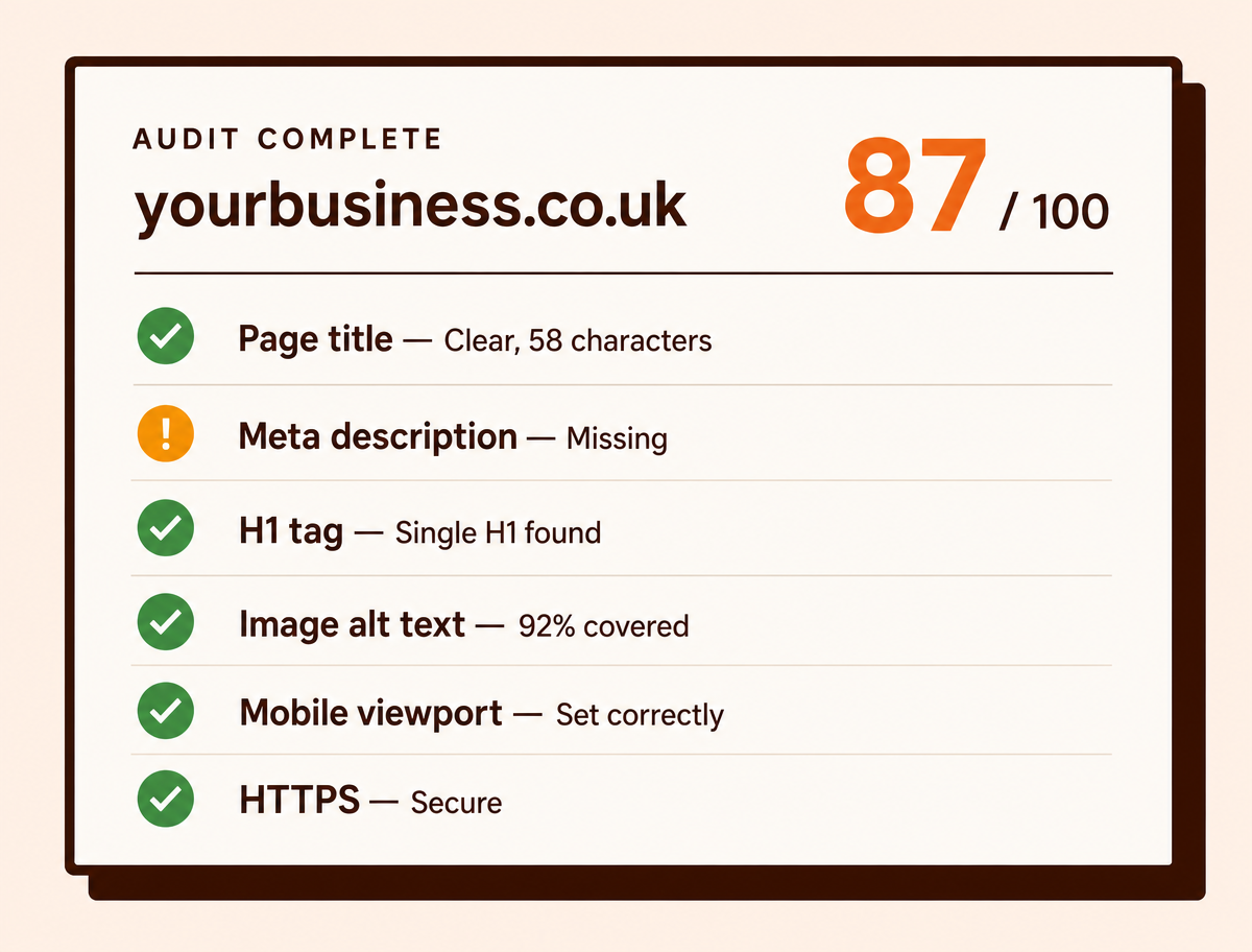 Sample audit report with a score of 87 out of 100 and check results